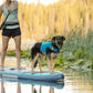 A dog wearing a Float Coat lifejacket on a boat.