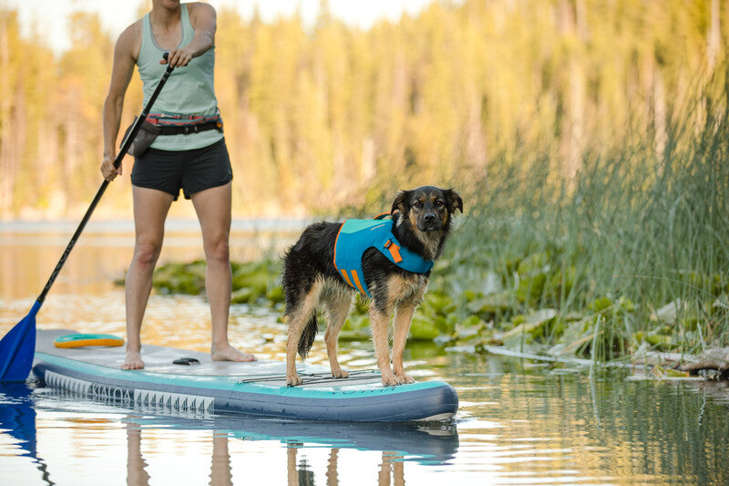 A dog wearing a Float Coat lifejacket on a boat.