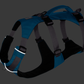 Reflective detailing on the Flagline Harness.