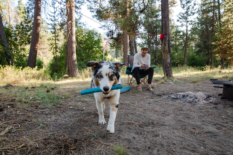 Ruffwear gnawt a stick cheap