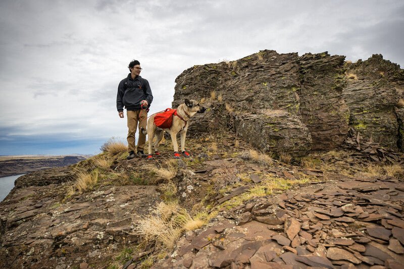 Ruffwear - Palisades Pack