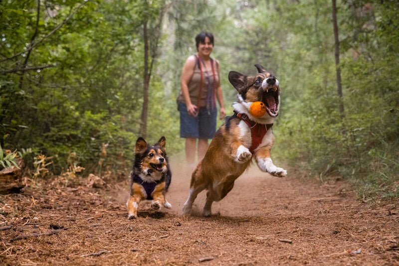 Ruffwear - Turnup Toy