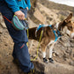 Ruffwear Flagline Harness and Hitch Hiker leash being used on rough terrain.