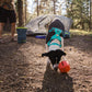 Ruffwear - Gnawt-a-Rock