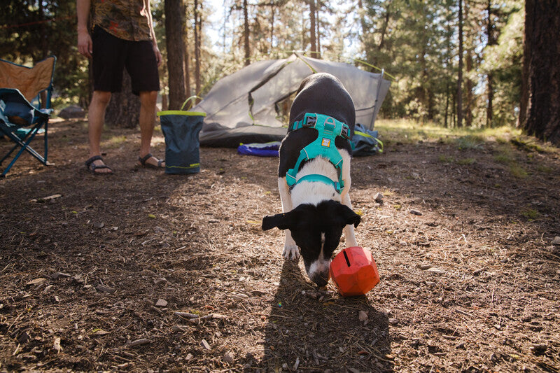 Ruffwear - Gnawt-a-Rock